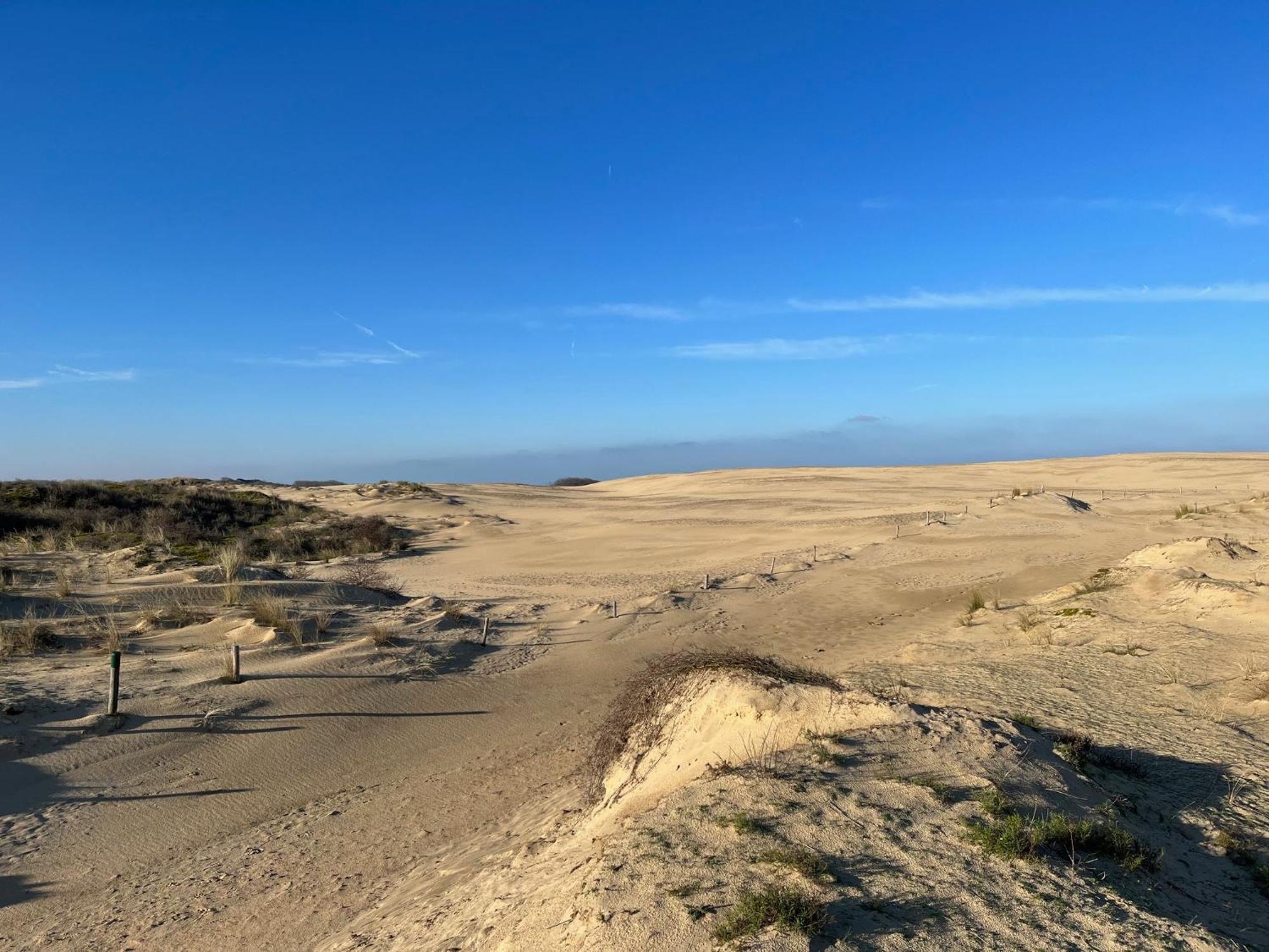 Ferienwohnung Logies La Parmentiere De Panne Exterior foto