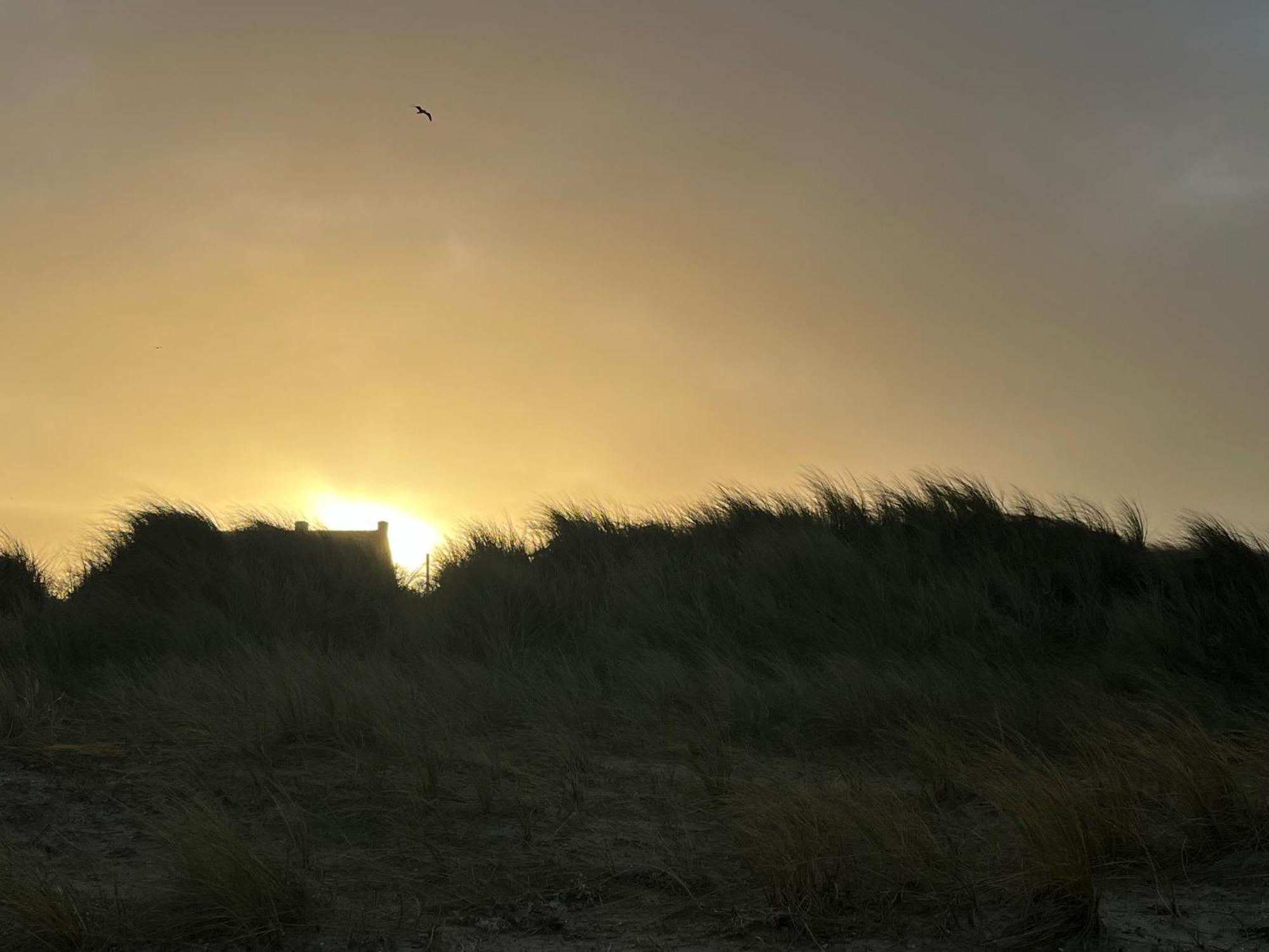 Ferienwohnung Logies La Parmentiere De Panne Exterior foto