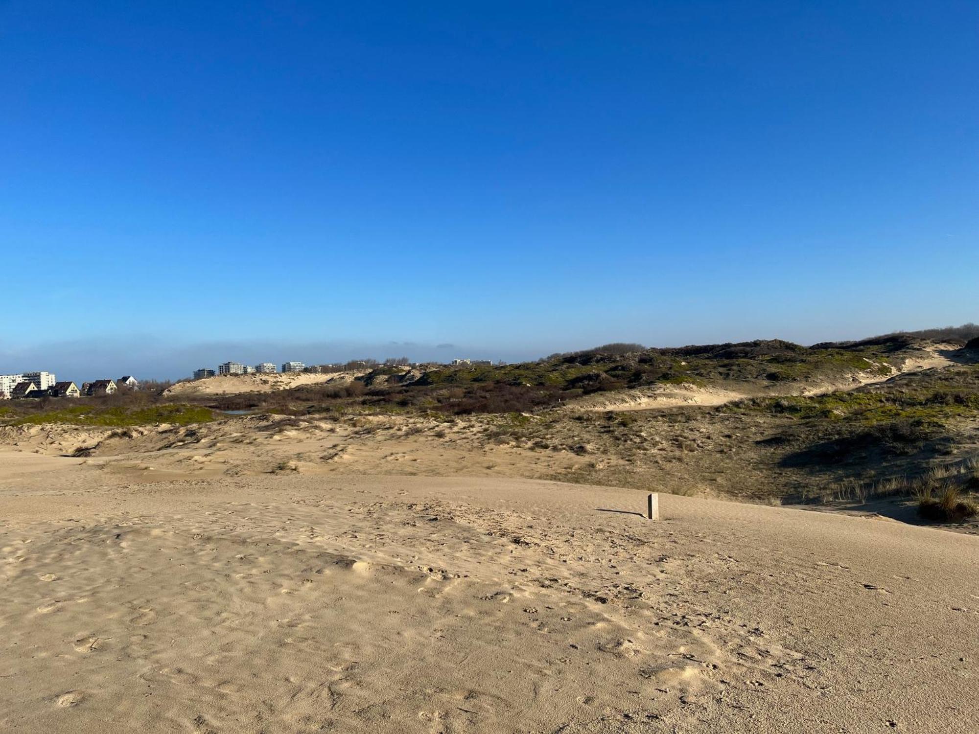 Ferienwohnung Logies La Parmentiere De Panne Exterior foto