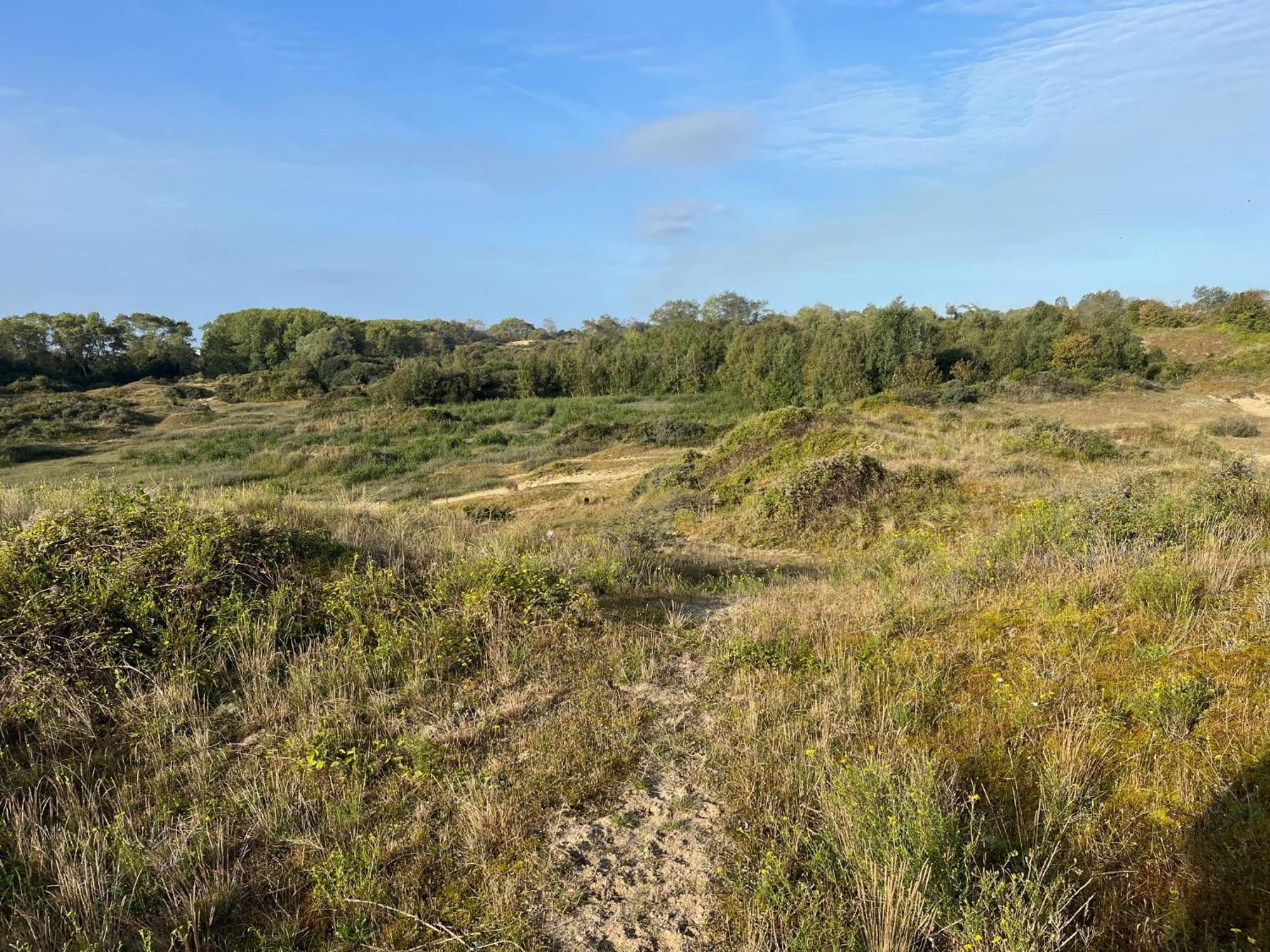 Ferienwohnung Logies La Parmentiere De Panne Exterior foto
